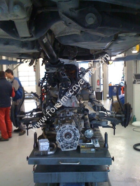 img0534uv.jpg