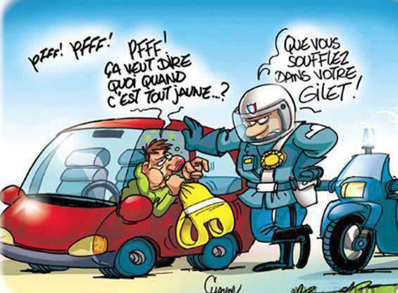 le-gilet-drole-3c23adc.jpg