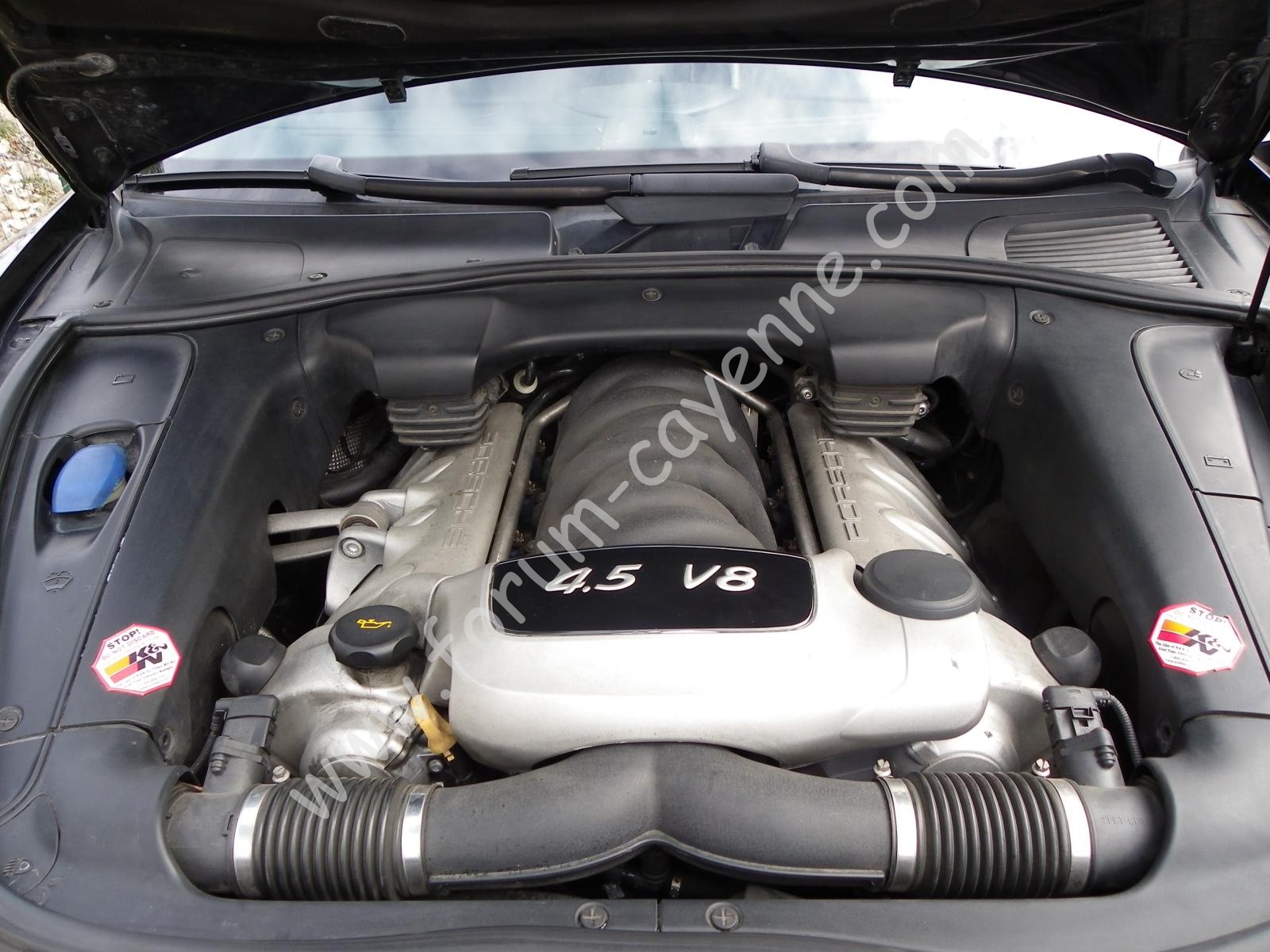 IMGP6703.JPG