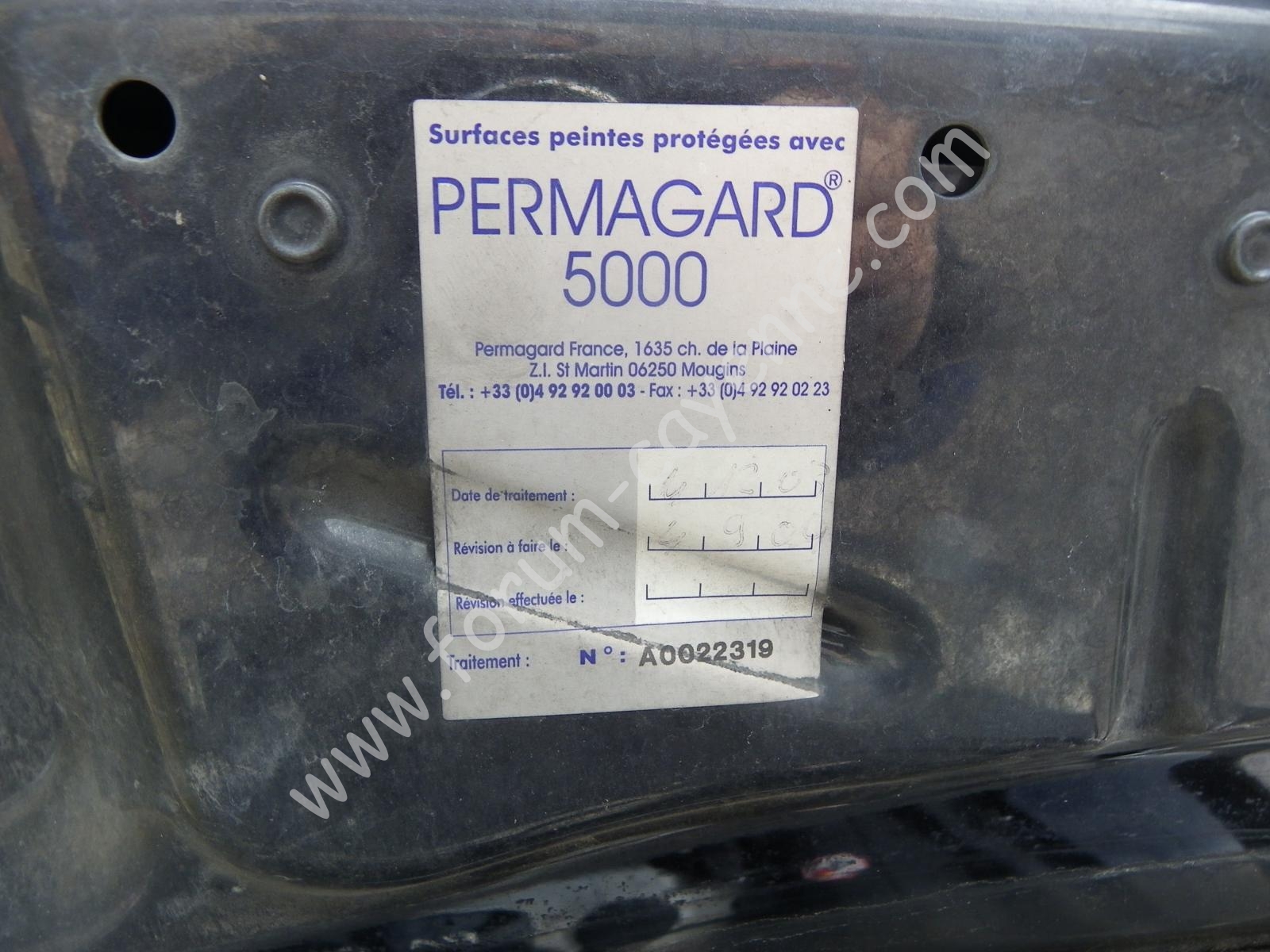 IMGP6704.JPG