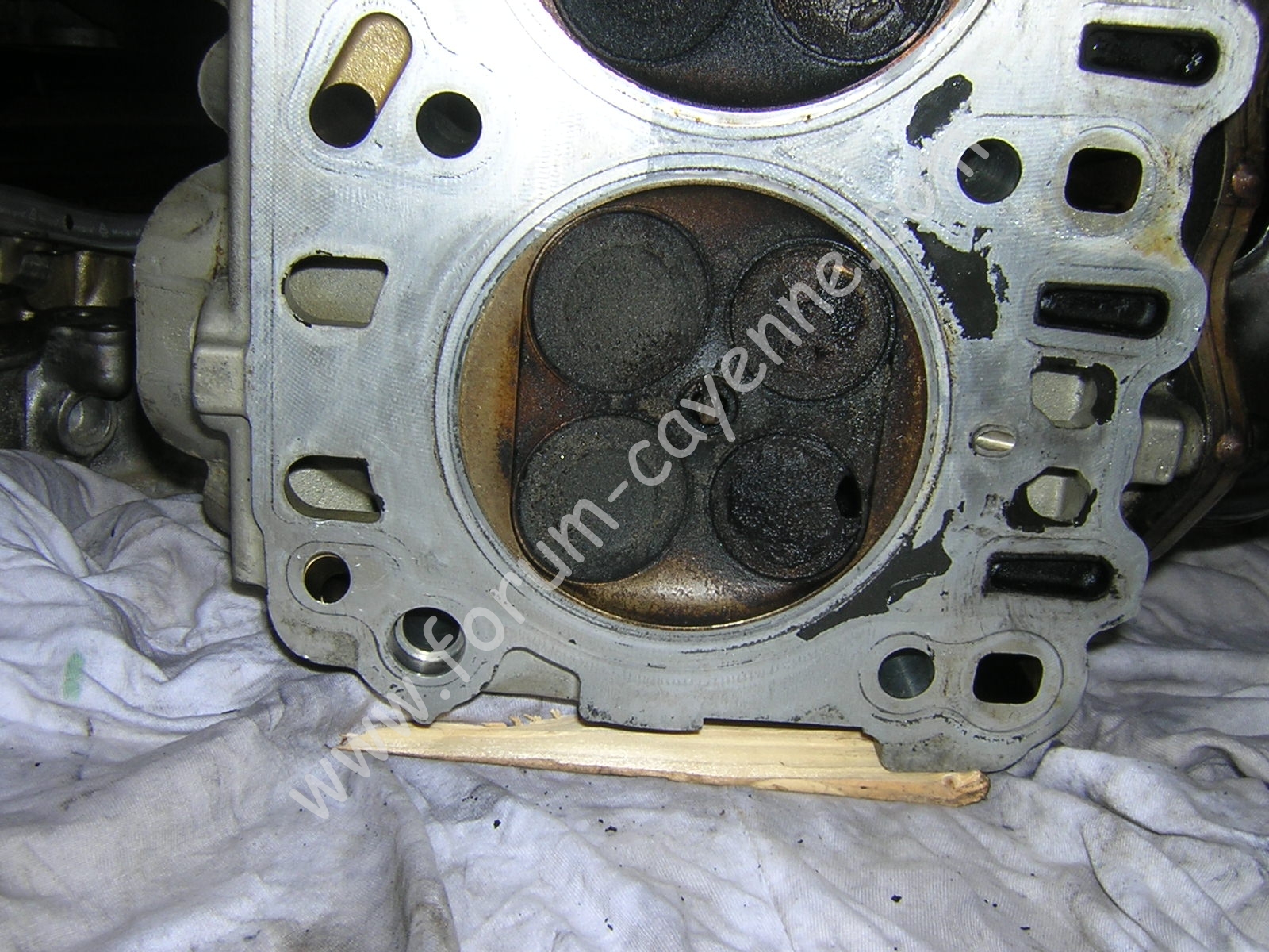 DSCN1322.JPG