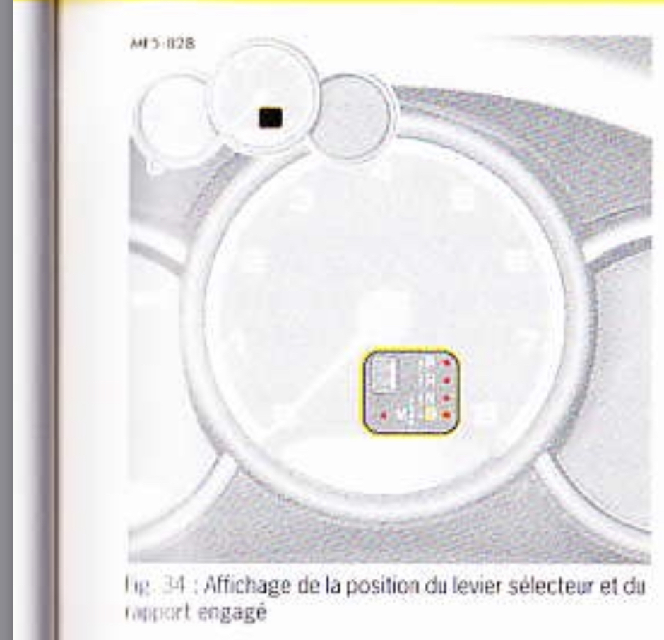 AB40677C-127A-4AE5-AE9B-DBDBDA0B9935.jpeg