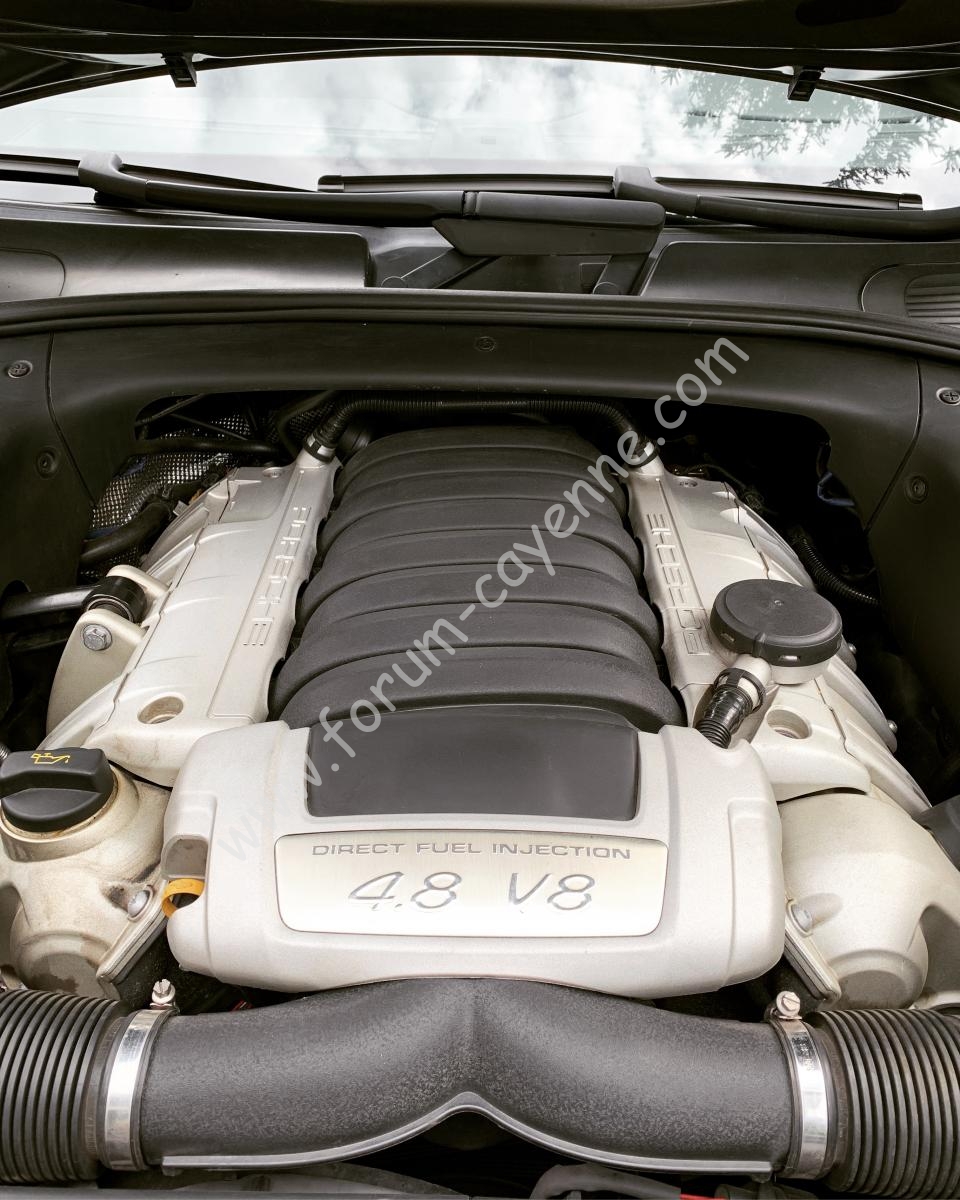 YFLV8046[1].JPG