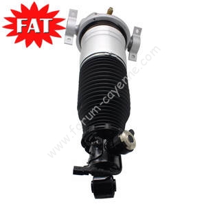 Amortisseur-de-font-b-Suspension-b-font-pneumatique-arrière-gauche-pour-font-b-Porsche-b-font.jpg_300x300q75.jpg