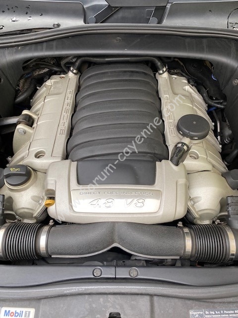 83687225_3229503783733000_995980663716839424_n.jpg