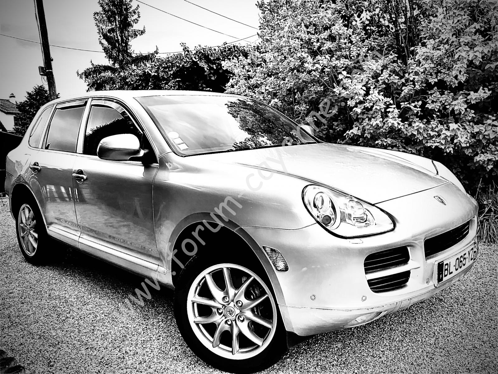 Cayenne 5 avril 2020 - Copie.jpg