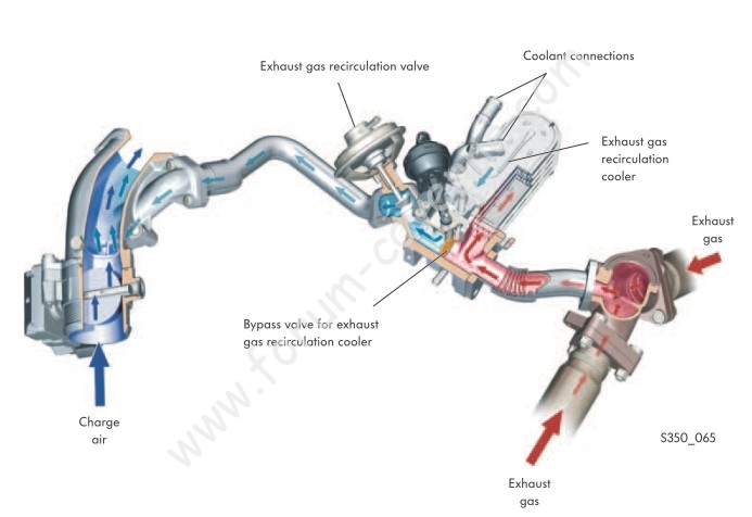 EGR V6 TDI 1.JPG