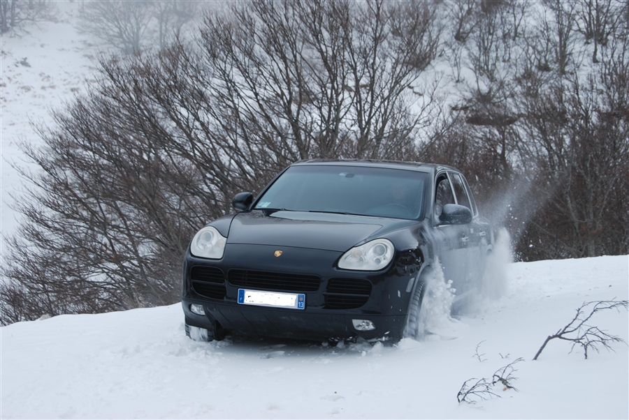 r_DSC_2437[1].jpg