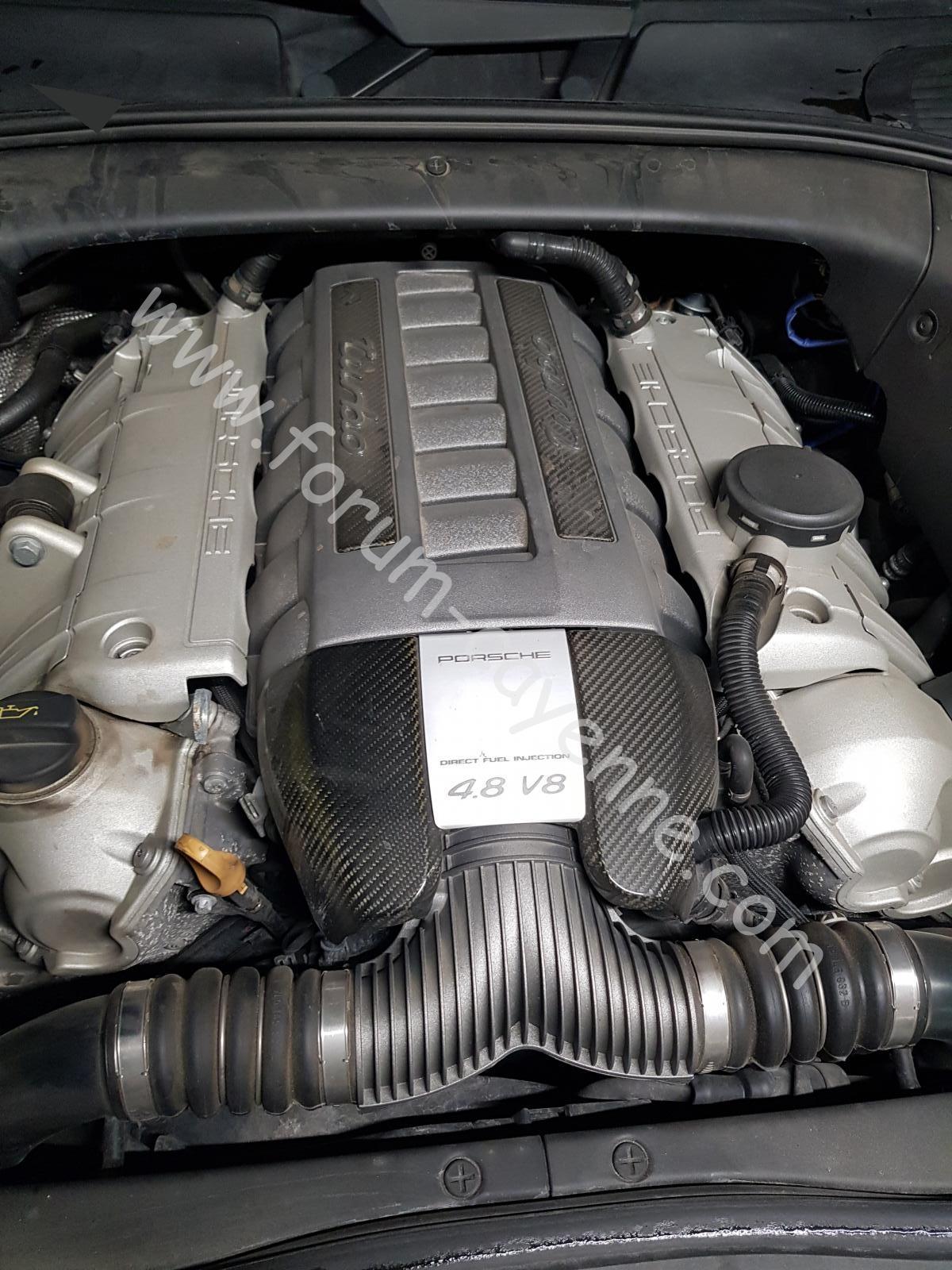 Cayenne 5.jpg