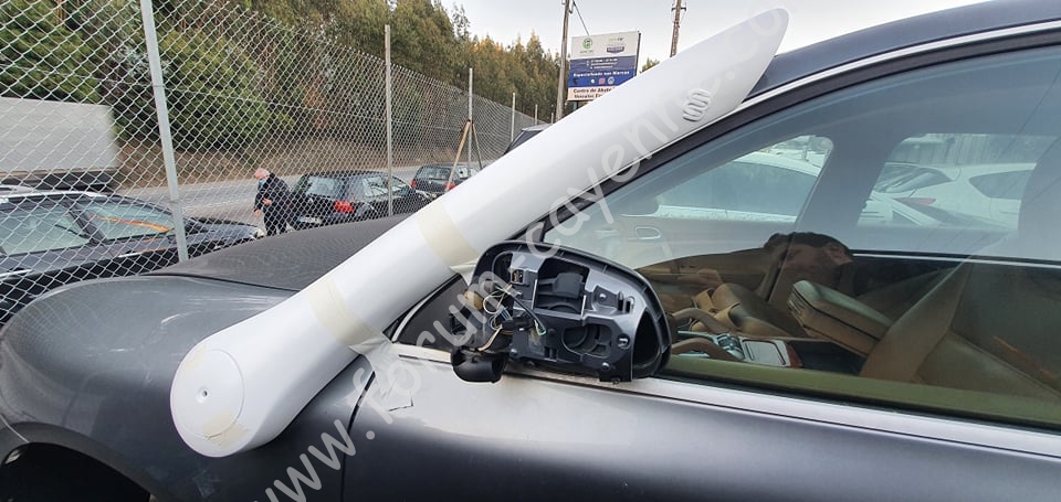 Snorkel left.jpg