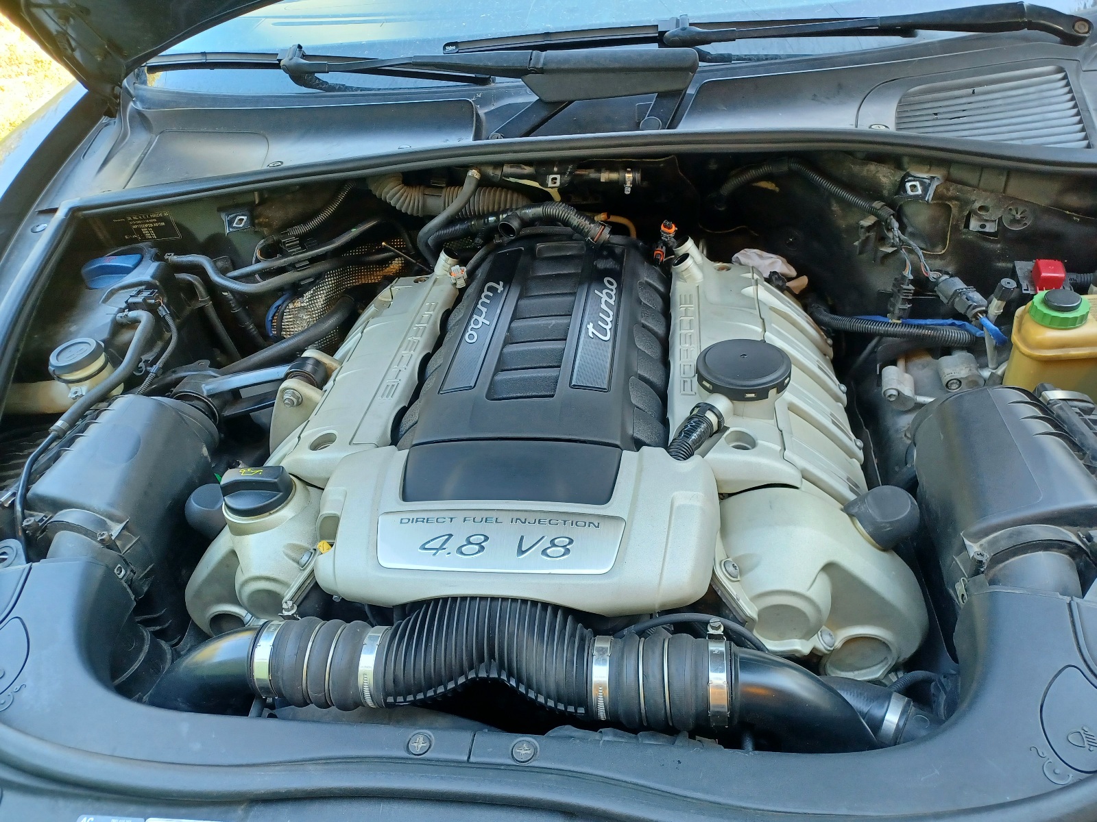 20230910_173911.jpg